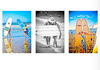 Donna Day: Sayulita Photobook